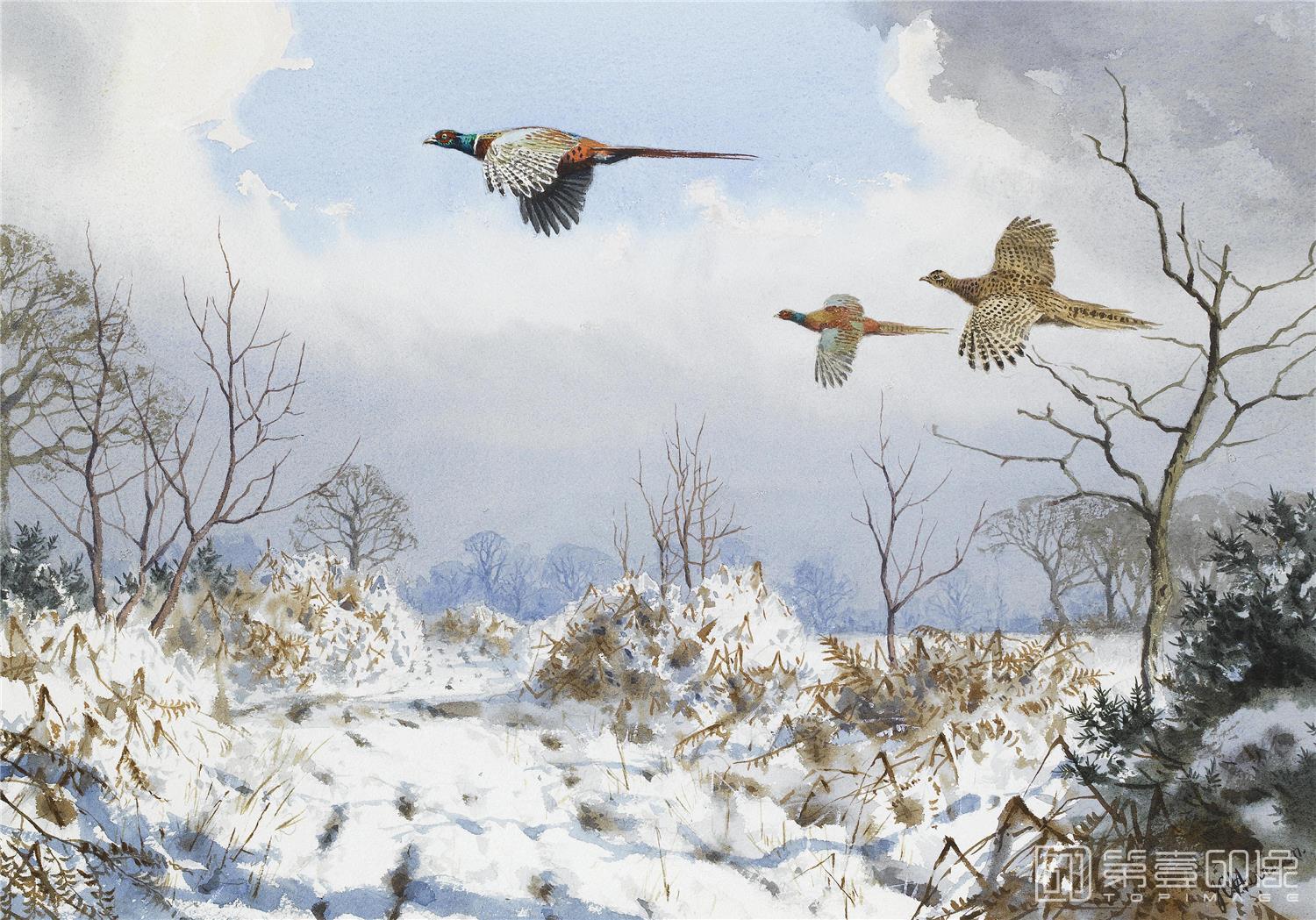 油画-约翰.赛里尔·哈里森 John Harrison作品集-077